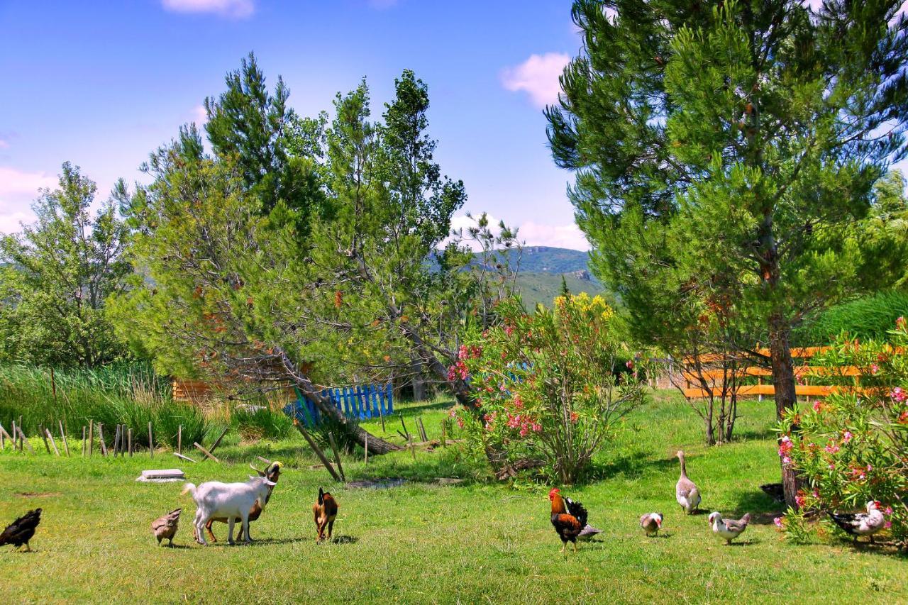Camping La Peiriere Tuchan Buitenkant foto